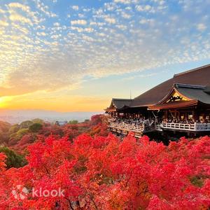 京都金閣寺 & 清水寺 & 宇治平等院一日遊 (大阪/京都出發)