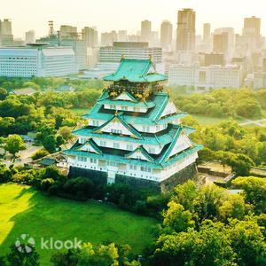 Osaka - Osaka Castle & Toyokuni Shrine Half-Day Architecture and History Tour