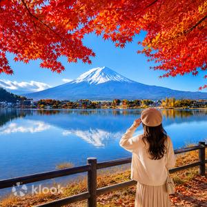 山梨縣 - 東京每日出發:富士山五合目・河口湖・忍野八海・御殿場奧特萊斯一日遊(可選日式午餐)