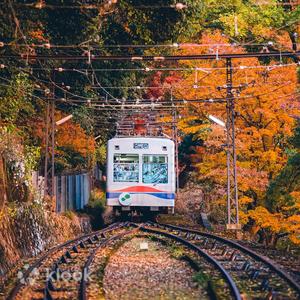 京都 - 叡山纜車往返票