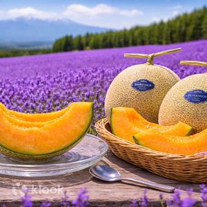Hokkaido - Furano & Biei Blue Pond & Shikisai-no-Oka Day Tour