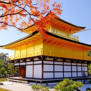 京都 - 【京都限定夜遊體驗】京都府立植物園+金閣寺+八坂神社+伏見稻荷大社(打卡吉伊卡哇本鋪)