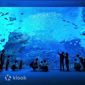 Sendai Umino-Mori Aquarium Tickets