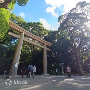 東京 - 東京市區 & 明治神宮文化徒步之旅