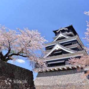 熊本縣 - 熊本城門票