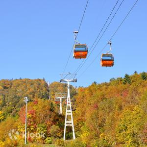 北海道 - 豐平峽電動巴士＆札幌國際滑雪場往返纜車票