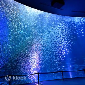 爱知 - 名古屋港水族館門票