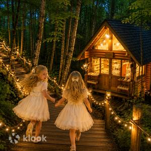Hokkaido - Illumination Tour: Furano Ningle Terrace, Biei Blue Pond and Shirahige Falls Day Trip