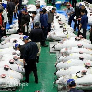 東京 - 持證導遊陪同的豐洲市場早間金槍魚拍賣和築地美食之旅