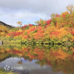 北海道 - 北海道層雲峽賞楓一日遊：層雲峽溫泉街・銀河瀑布・流星瀑布・黑岳纜車・大函峽谷（札幌出發）