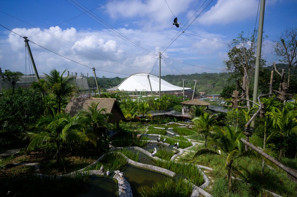 Mandai3