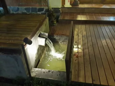 棕榈酒店 #2