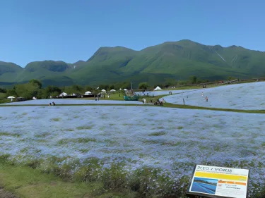 kujuhanakoen campingresort hanatohoshi #5