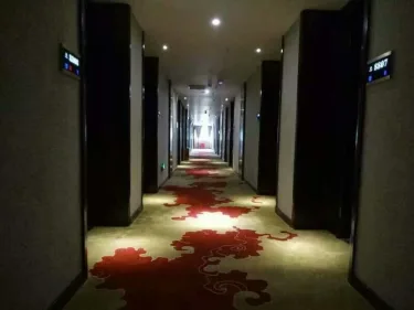 圣保罗大酒店 #5