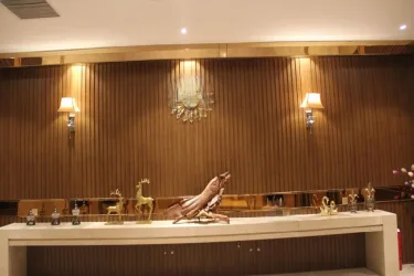 铂金湾温泉休闲度假酒店 #2