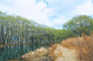 丽江晶玺希尔顿酒店 #3