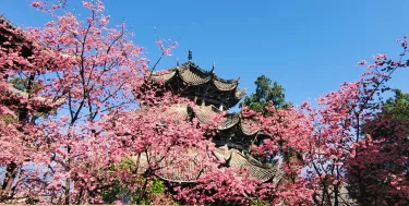 汉庭（西昌邛海湿地公园新店） #3