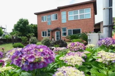 Jeju Ophirhouse Pension #4