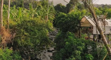 Camani Glamping #5
