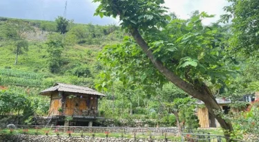 Sapa Bamboo Eco #3