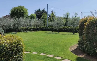 B&B Erilla #5