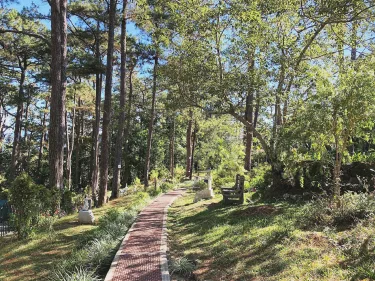 Trail Bedz Homestay #3