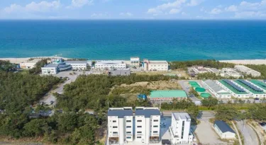 Gangneung AMPM poolvilla #2