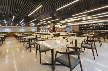 提米卡戴安娜地平线酒店 #3