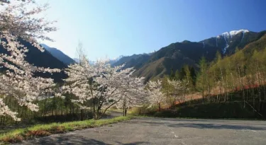 山顶旅馆 #5