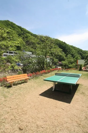 加平甘城216泳池别墅养老院 #5