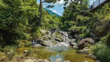 加平哈伦泳池别墅 #2
