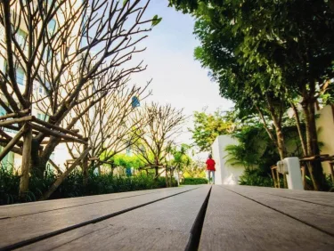 Chelona 436 Hua Hin #2