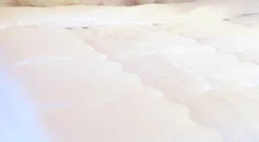 查理旅馆 #2