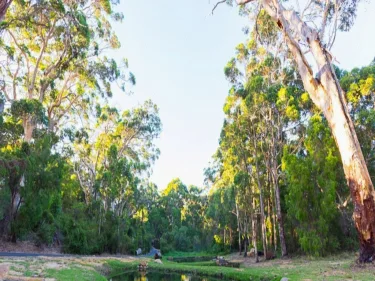 Karriview Margaret River #3