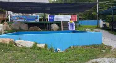 安东豪华营地及农场 #2