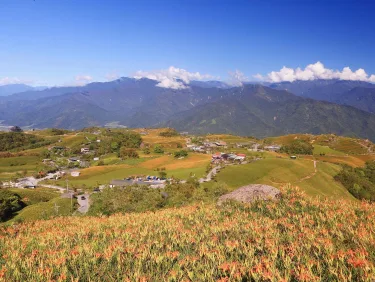 山月民宿 #5