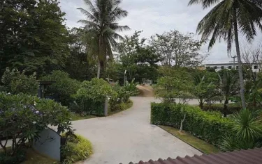 鲨鱼度假村 #2