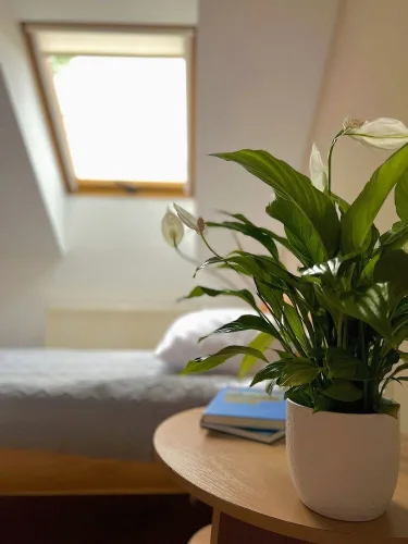Hotel Marislav #3