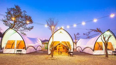 Gapyeong The Camp Caravan Glamping #5
