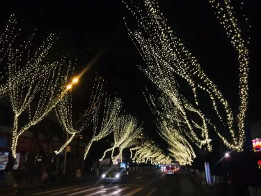 天悦大酒店 #3