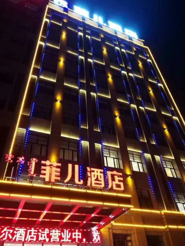 菲儿酒店 #2