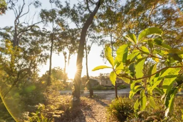 Tasman Holiday Parks - Myola #3