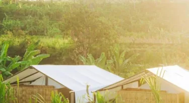 Camani Glamping #2