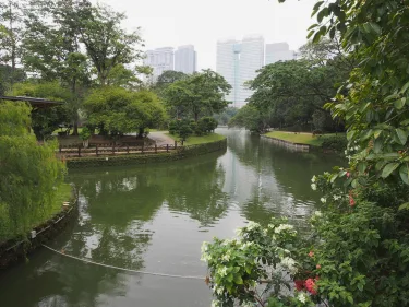 枫叶套房 #2