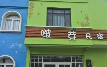 啵芽民宿 #5