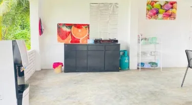 胖美人鱼旅馆 #2