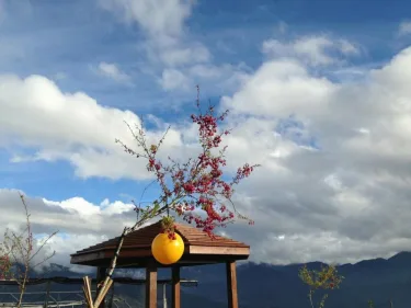 花沐星境庄园 #4
