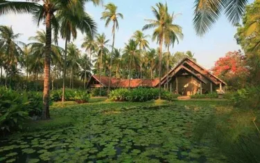 Blue Lotus Hua Hin #2