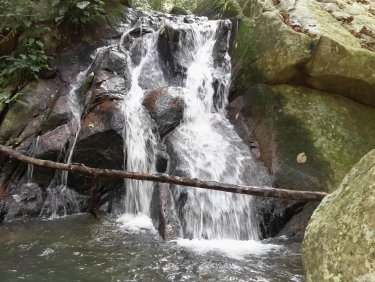 The Village Chalet in Rompin | 2025 Updated prices, deals - Klook ...