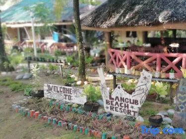 Langub Beach Resort Sipalay by RedDoorz #3